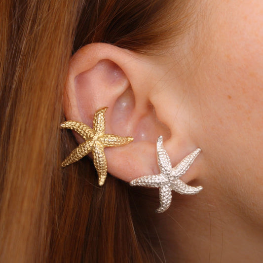 Piercing stella marina