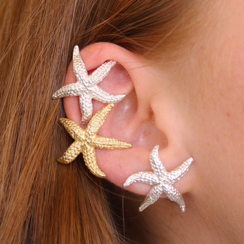 Piercing stella marina